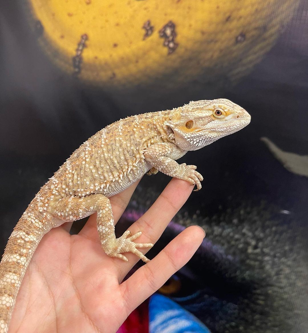 WhatsApp Image 2023-08-23 at 11.36.12 PM