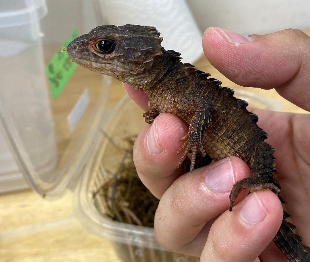 WhatsApp Image 2023-08-23 at 11.36.30 PM