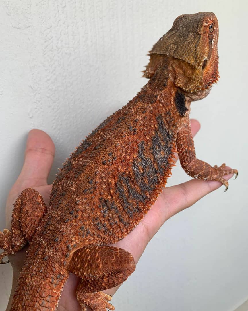 WhatsApp Image 2023-08-23 at 12.07.38 PM