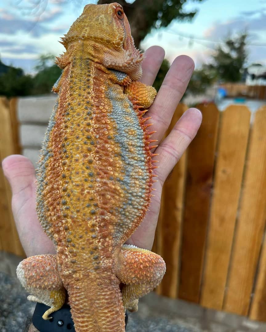 WhatsApp Image 2023-08-23 at 12.07.41 PM