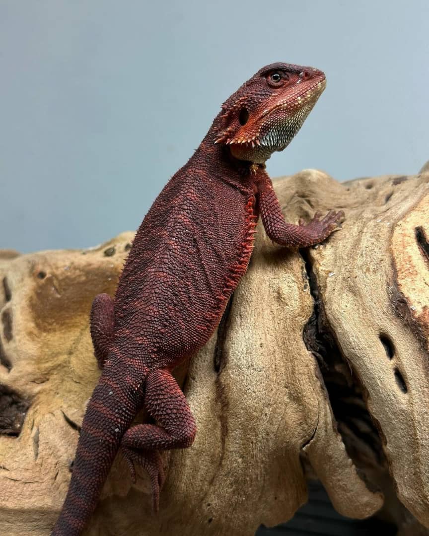 WhatsApp Image 2023-08-23 at 12.07.55 PM