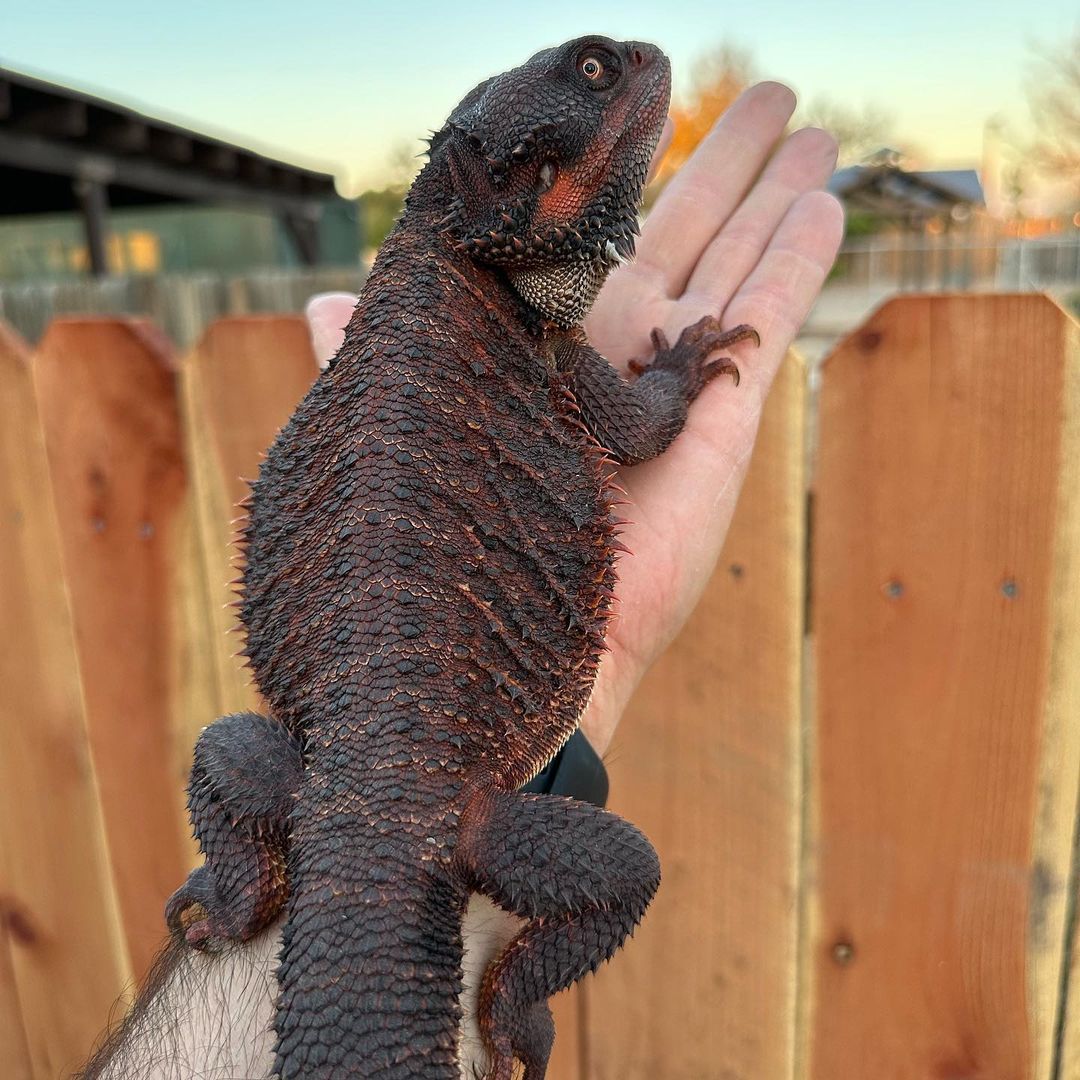 WhatsApp Image 2023-08-23 at 12.07.59 PM