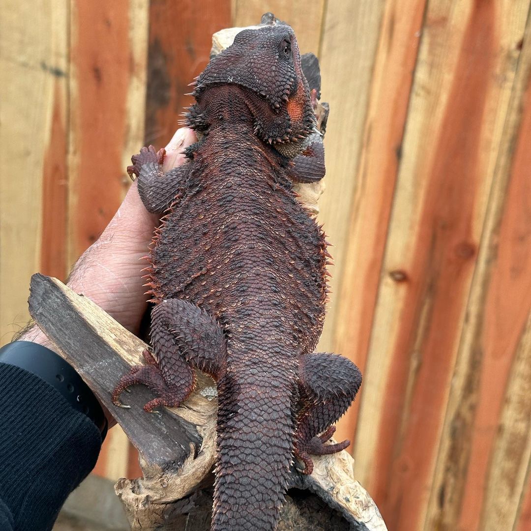 WhatsApp Image 2023-08-23 at 12.08.10 PM