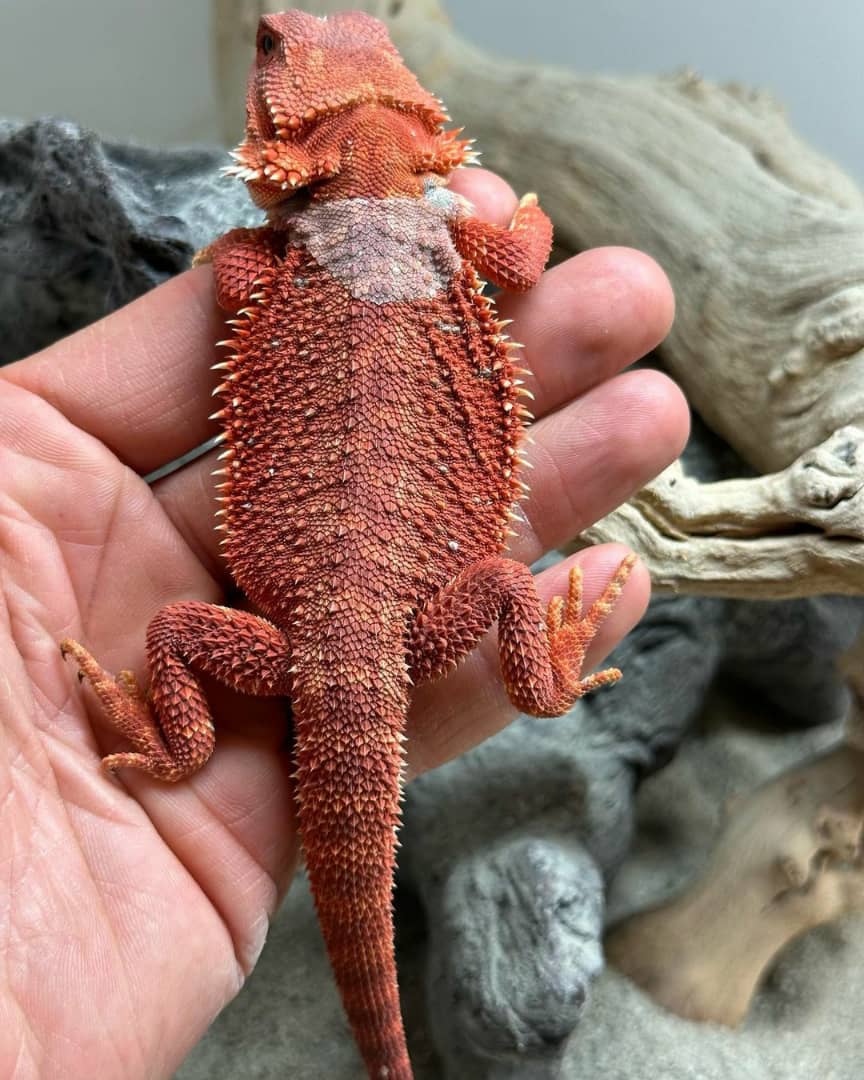 WhatsApp Image 2023-08-23 at 12.08.12 PM