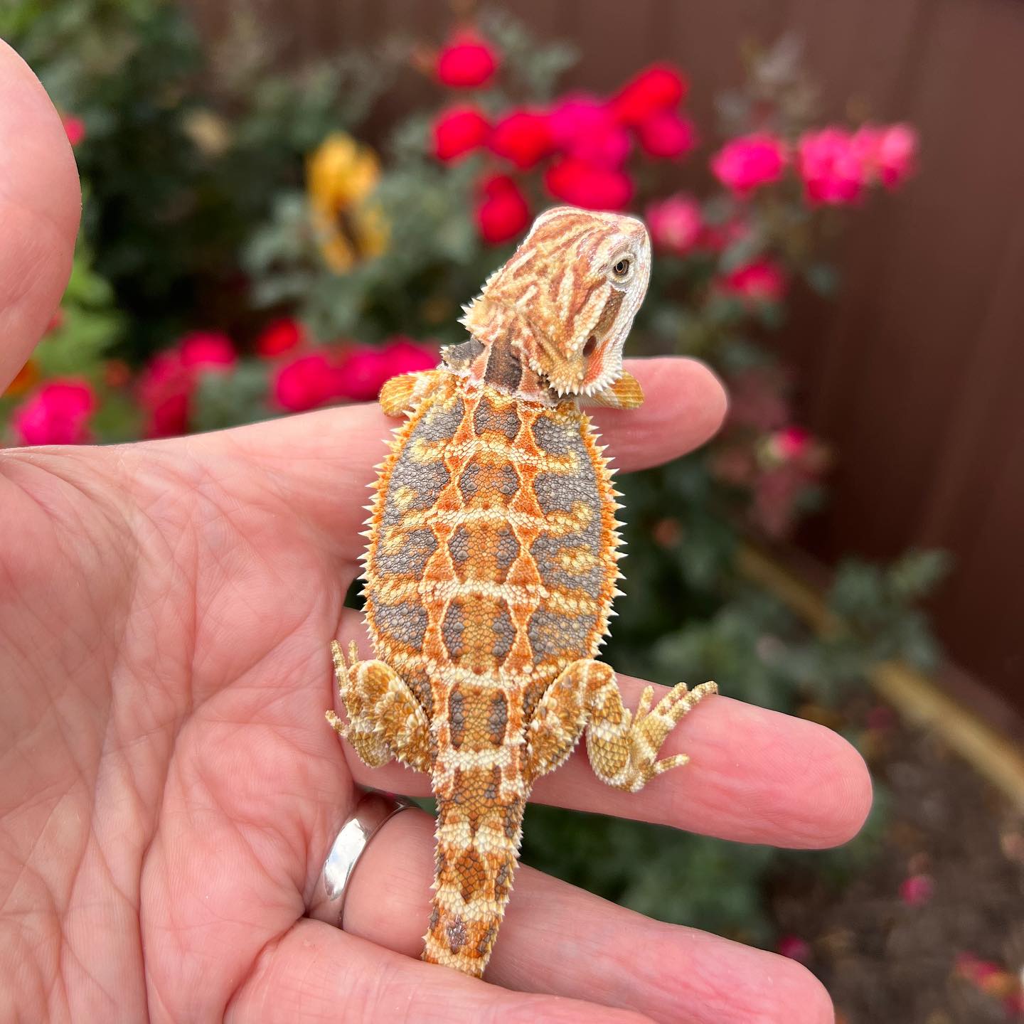 WhatsApp Image 2023-08-23 at 9.11.41 AM