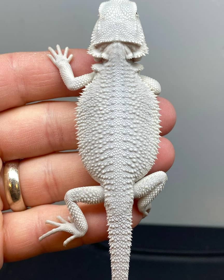 WhatsApp Image 2023-08-23 at 9.11.46 AM