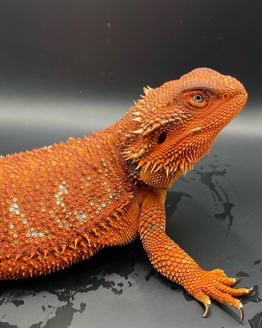 WhatsApp Image 2023-08-23 at 9.11.53 AM