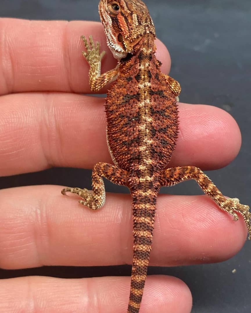 WhatsApp Image 2023-08-23 at 9.12.02 AM