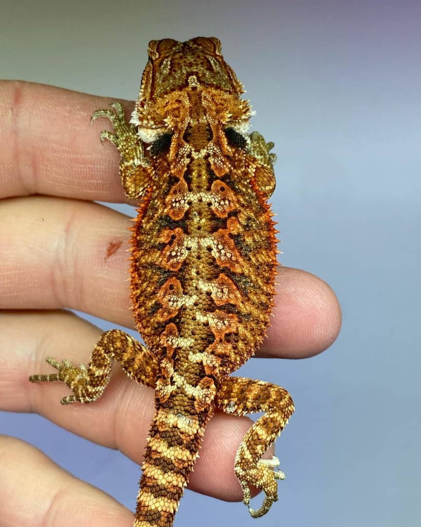 WhatsApp Image 2023-08-23 at 9.12.16 AM