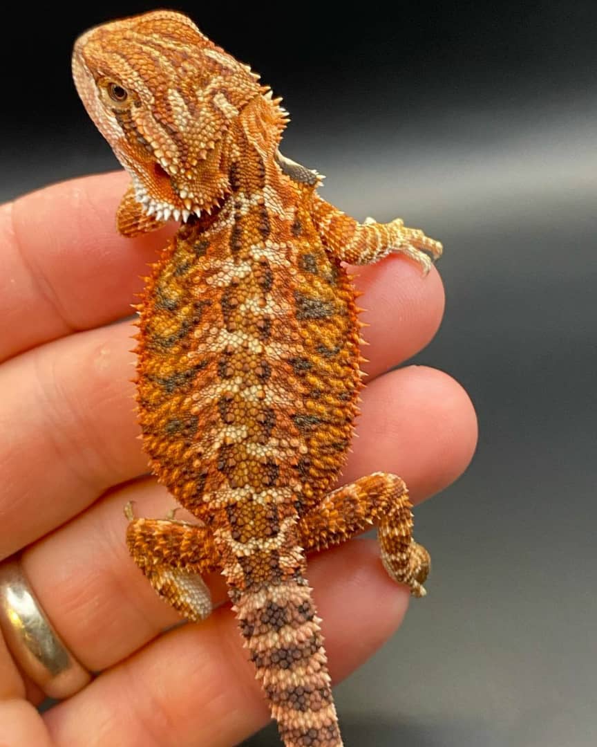 WhatsApp Image 2023-08-23 at 9.12.25 AM