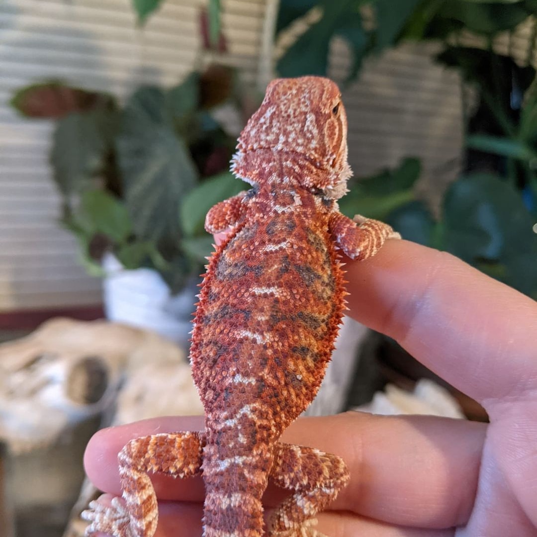 WhatsApp Image 2023-08-23 at 9.12.39 AM