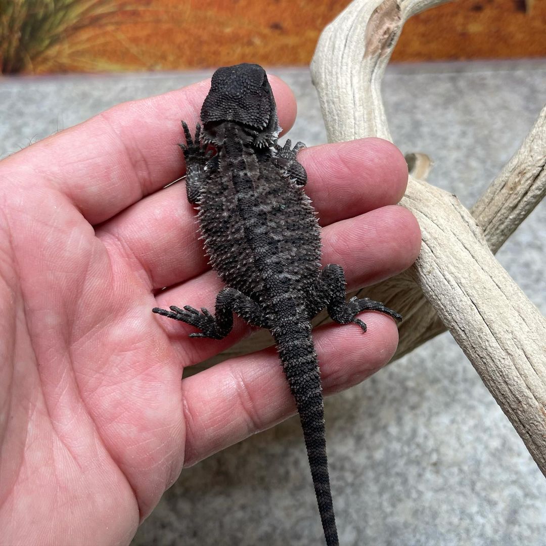 WhatsApp Image 2023-08-23 at 9.12.42 AM