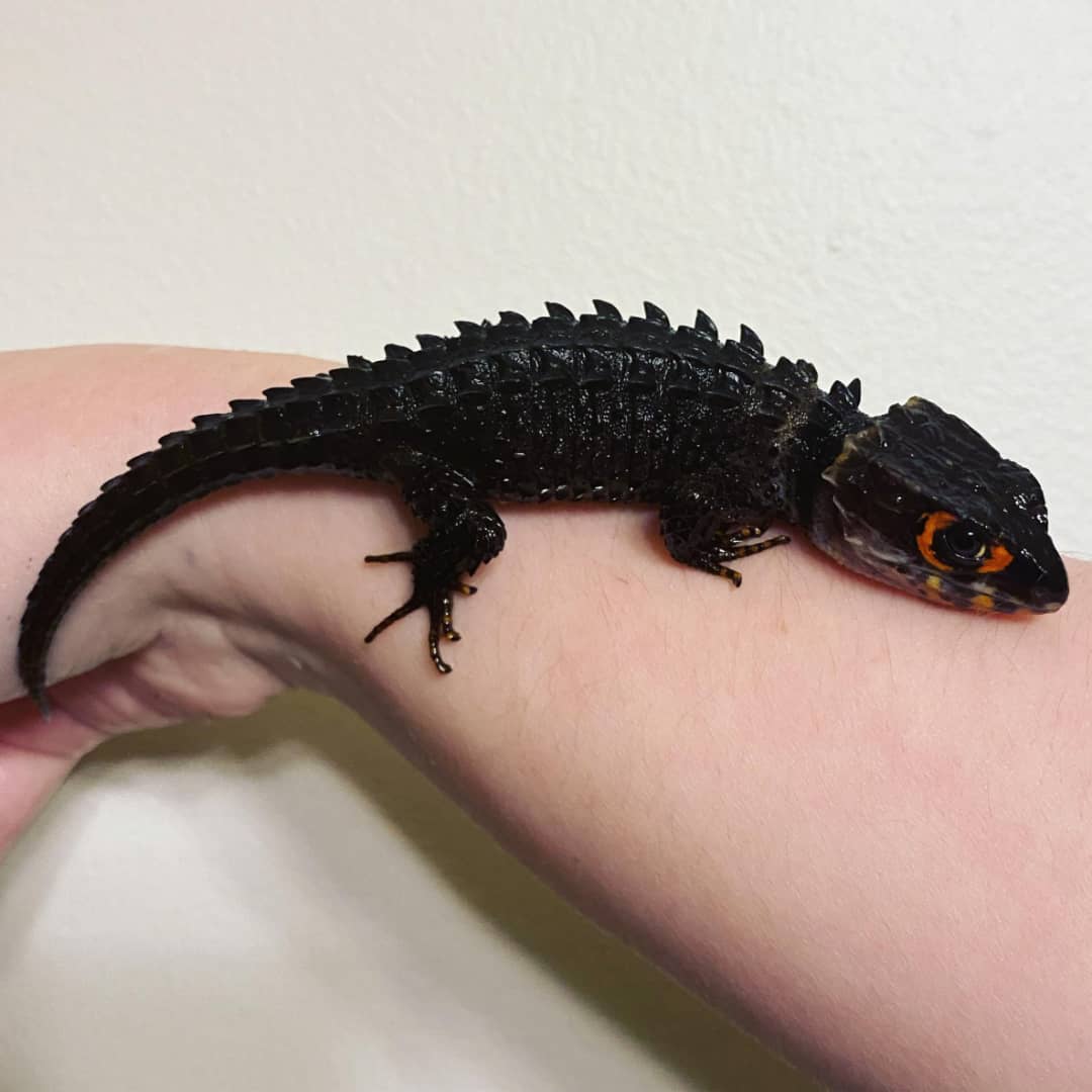 WhatsApp Image 2023-08-23 at 9.12.51 AM