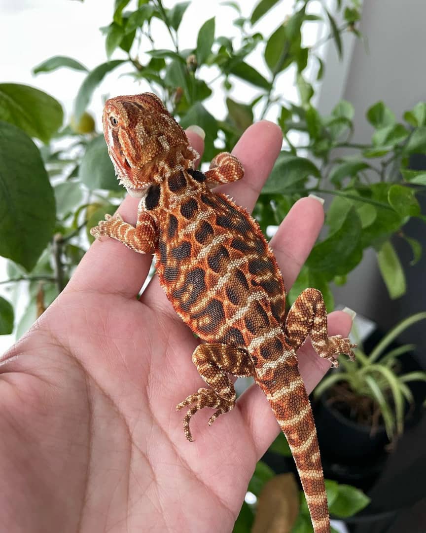 WhatsApp Image 2023-08-23 at 9.12.53 AM