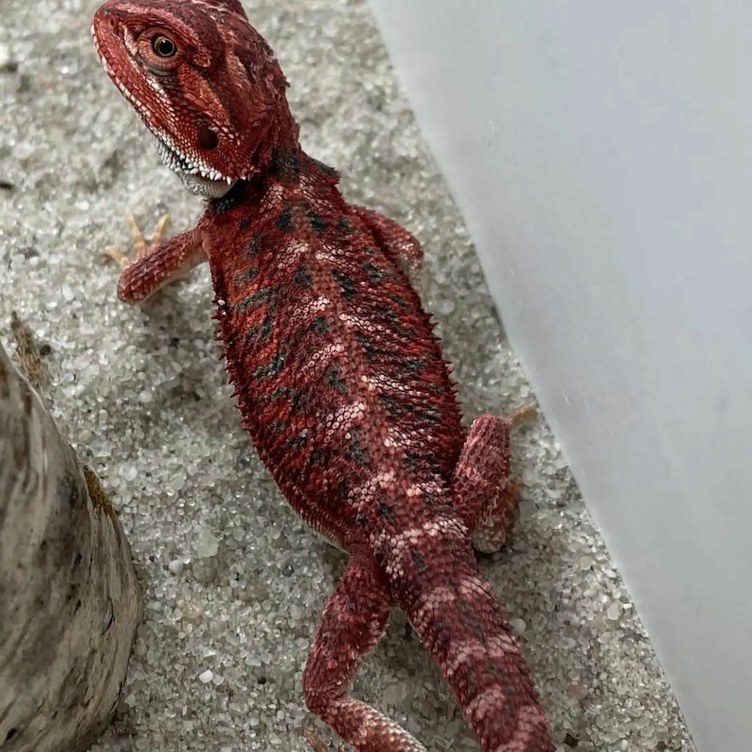 WhatsApp Image 2023-08-23 at 9.12.58 AM