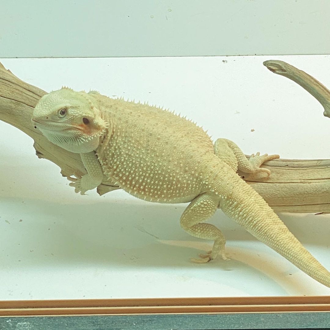 WhatsApp Image 2023-08-30 at 5.55.51 AM (1)