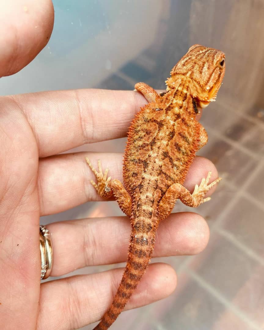 WhatsApp Image 2023-08-30 at 5.55.53 AM