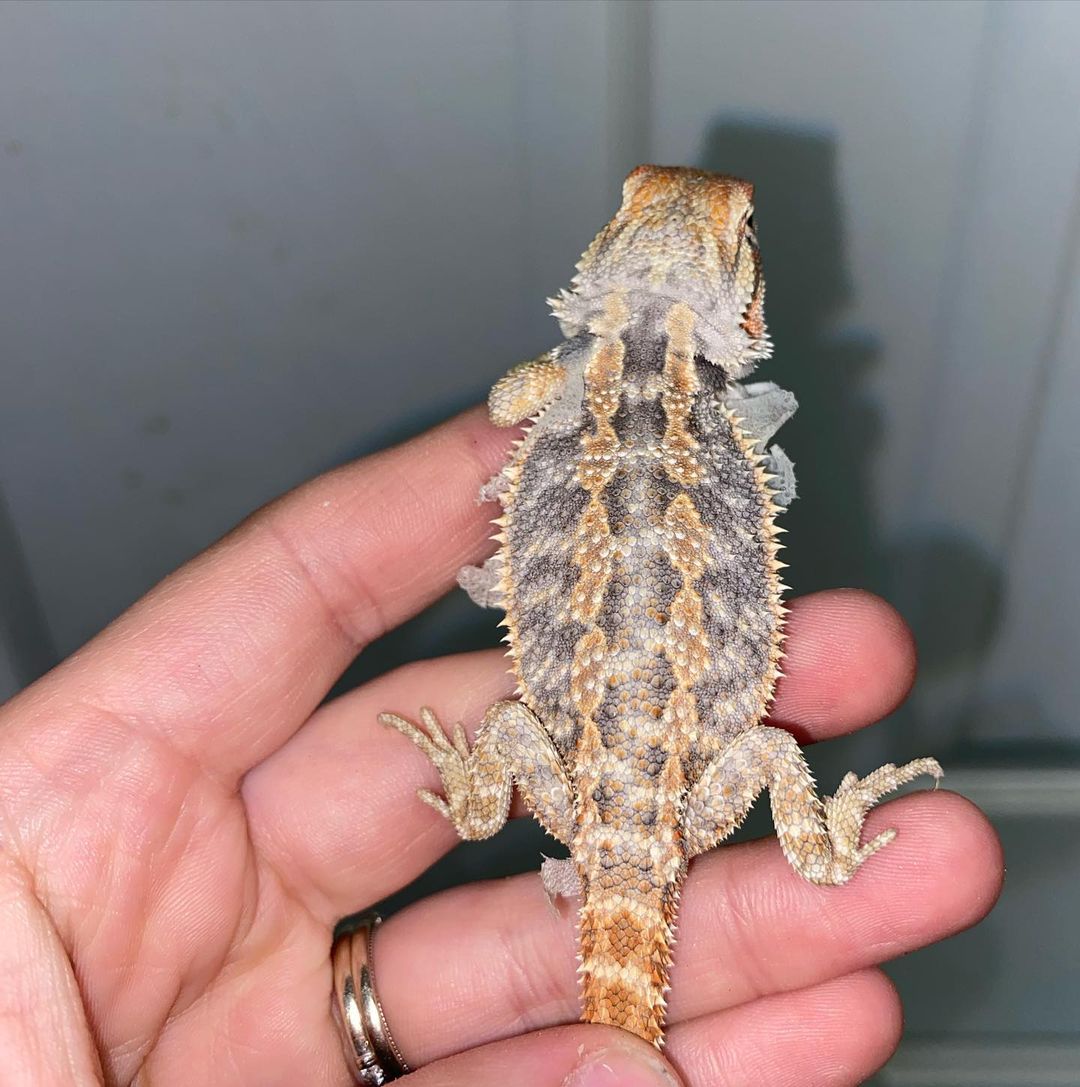 WhatsApp Image 2023-08-30 at 5.55.54 AM