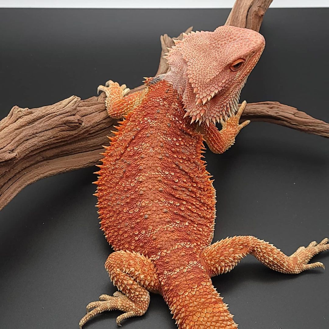 WhatsApp Image 2023-09-09 at 10.59.21 PM