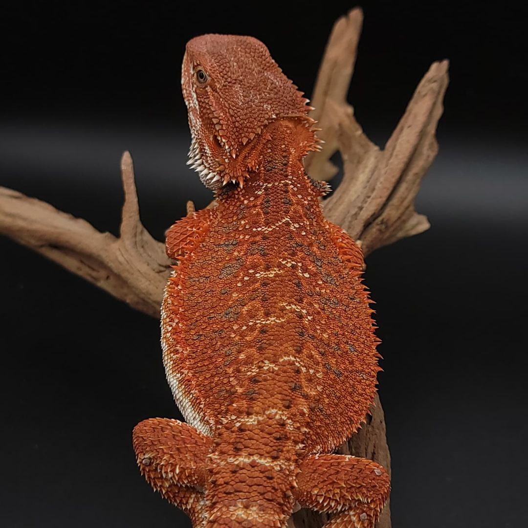 WhatsApp Image 2023-09-09 at 11.03.58 PM