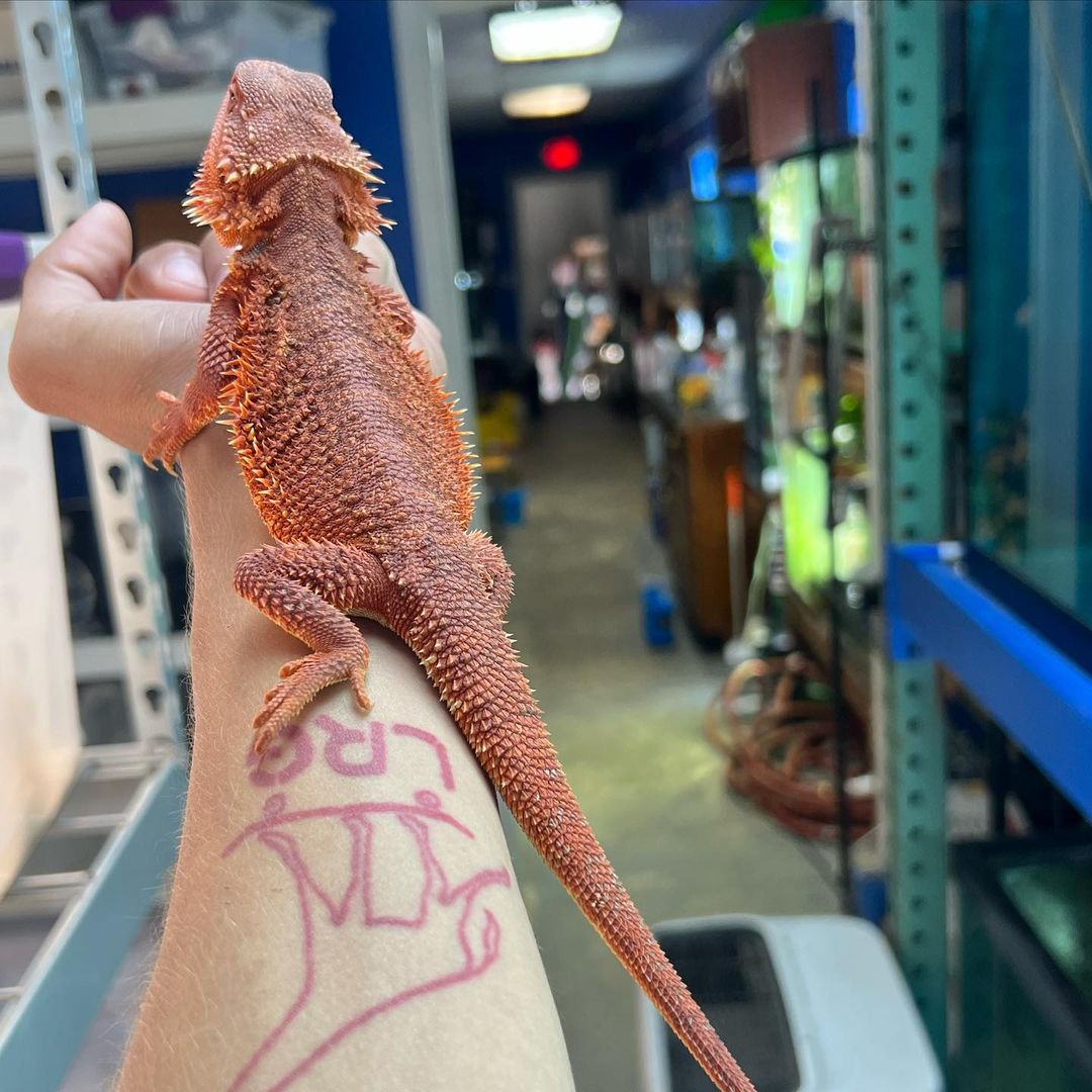 WhatsApp Image 2023-09-09 at 11.05.01 PM