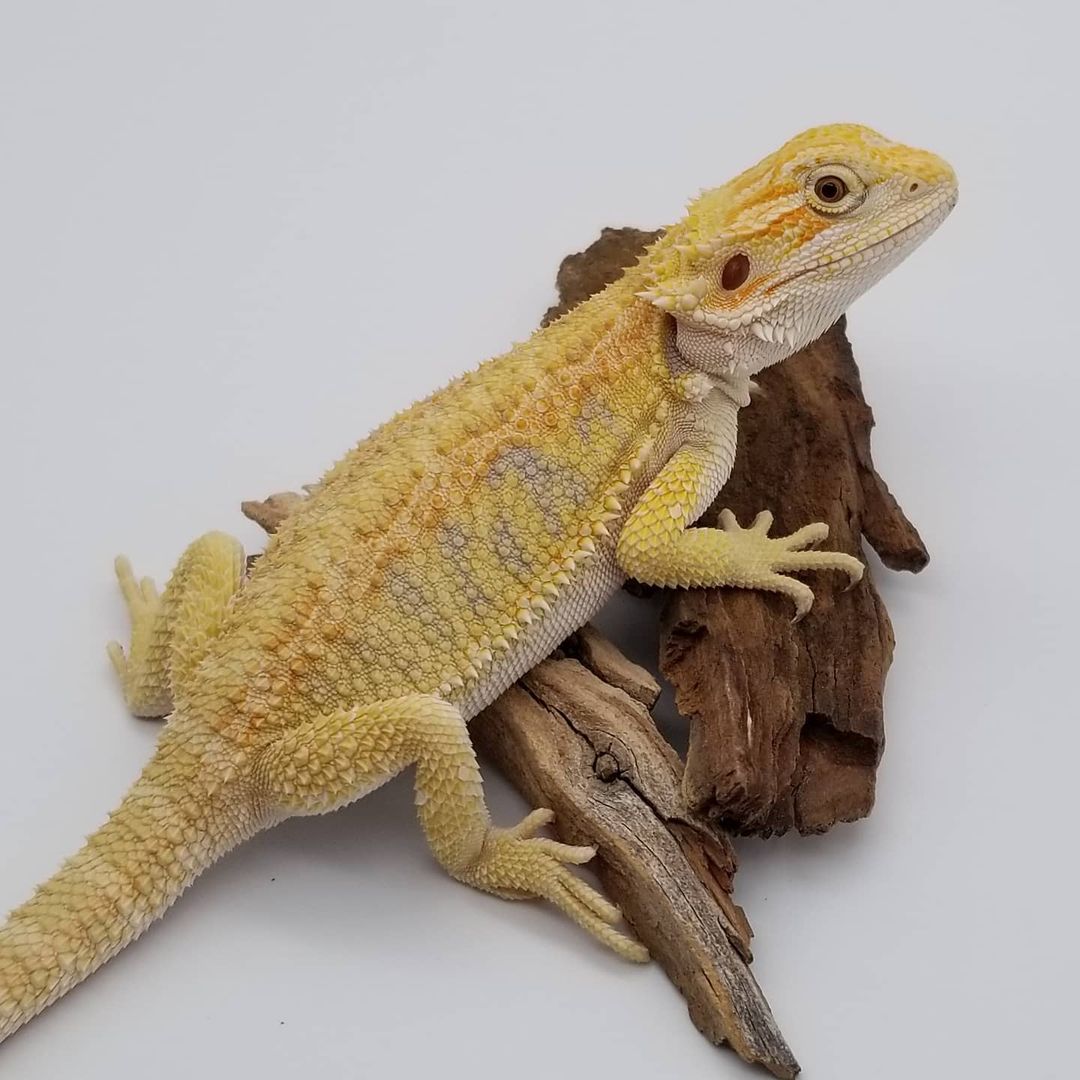 WhatsApp Image 2023-09-09 at 9.33.16 PM