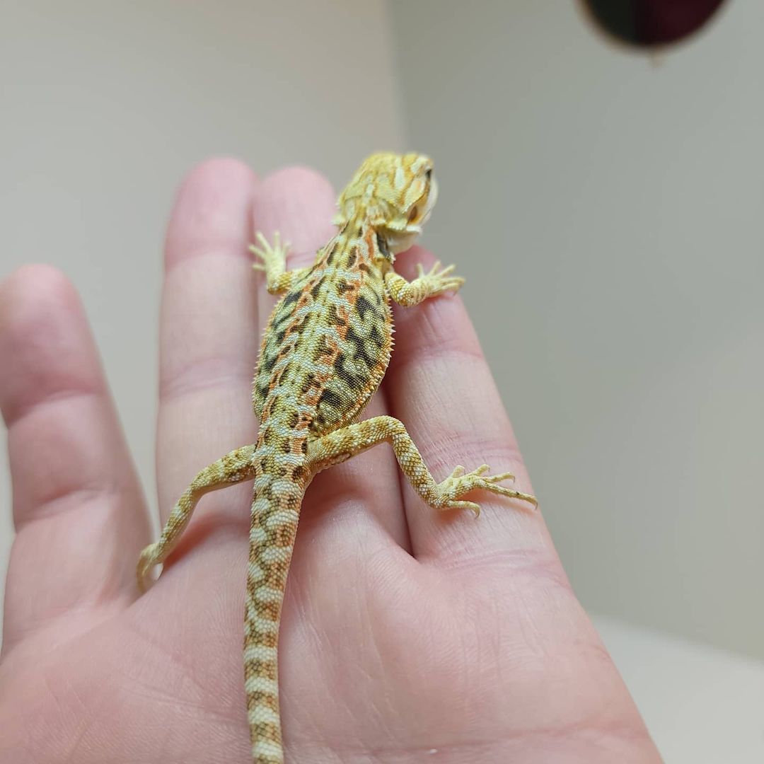 WhatsApp Image 2023-09-09 at 9.35.57 PM