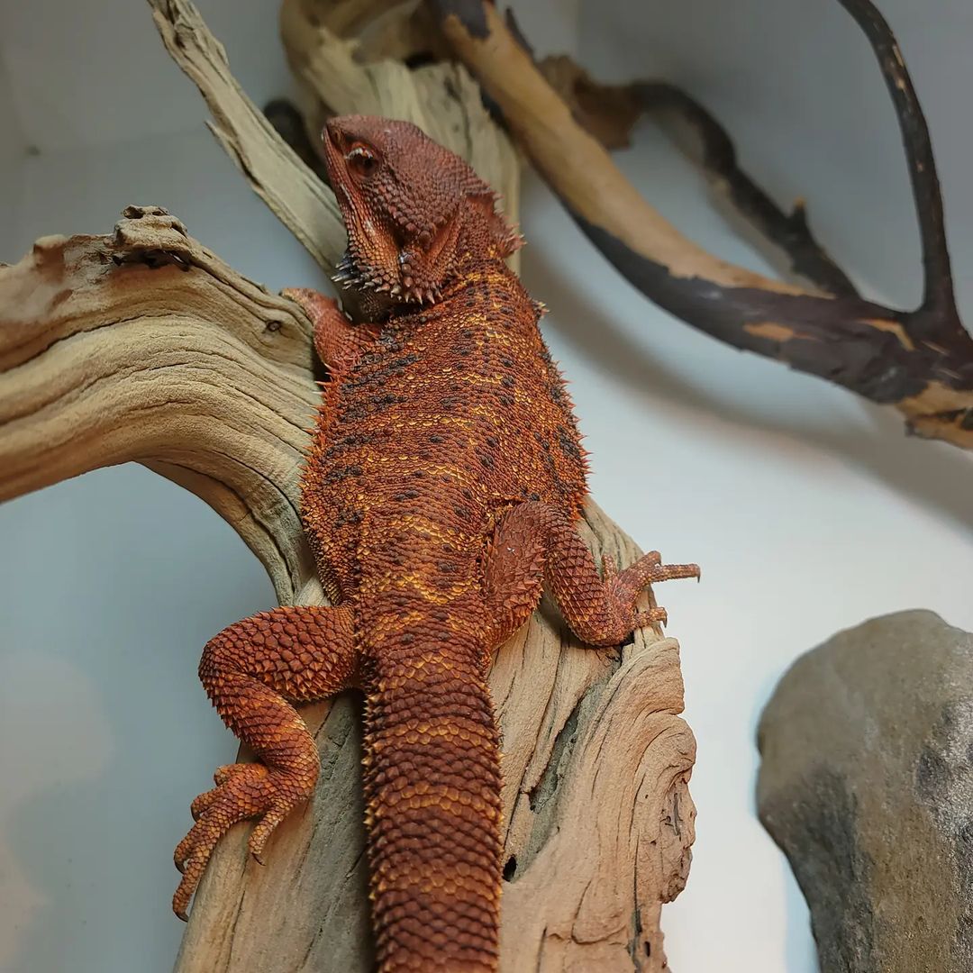 WhatsApp Image 2023-09-09 at 9.36.06 PM