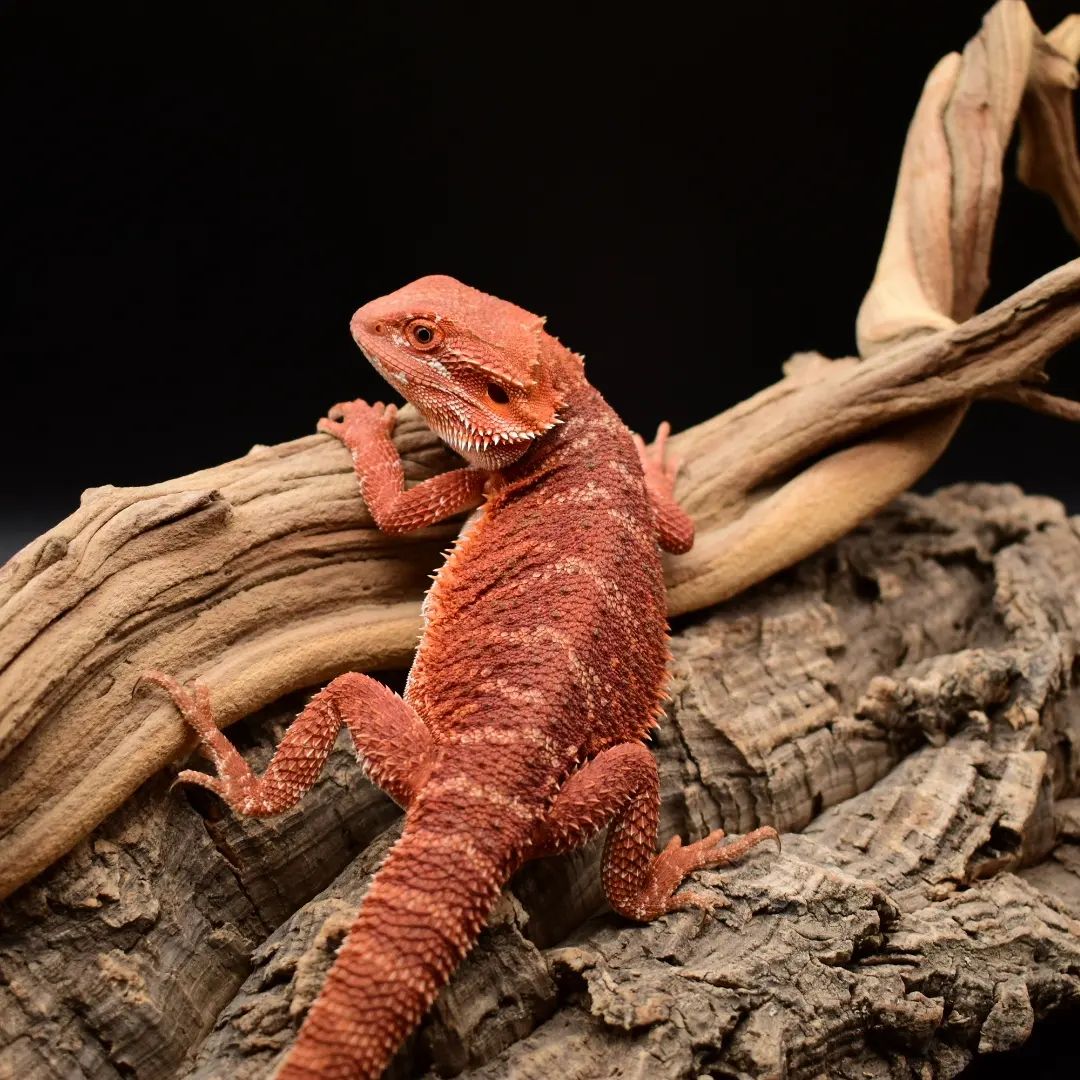 WhatsApp Image 2023-09-09 at 9.37.38 PM