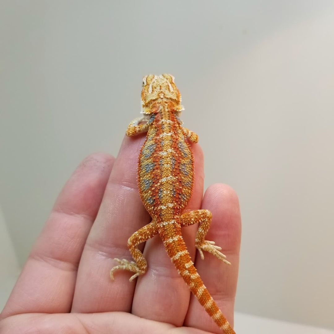 WhatsApp Image 2023-09-09 at 9.40.03 PM