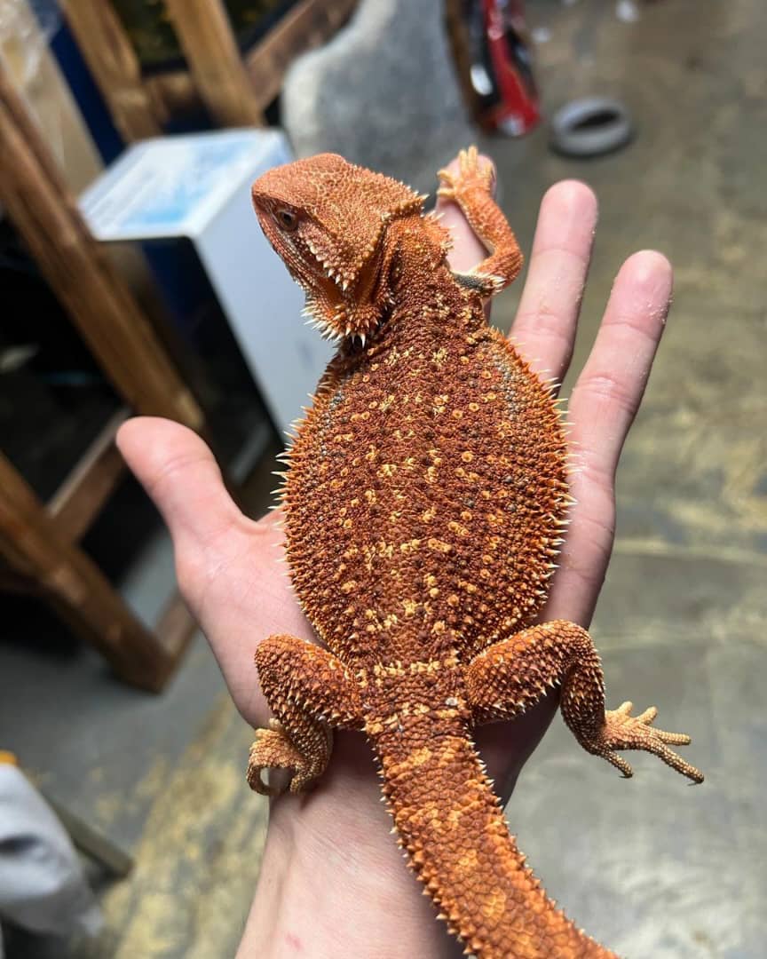 WhatsApp Image 2023-09-09 at 9.41.37 PM