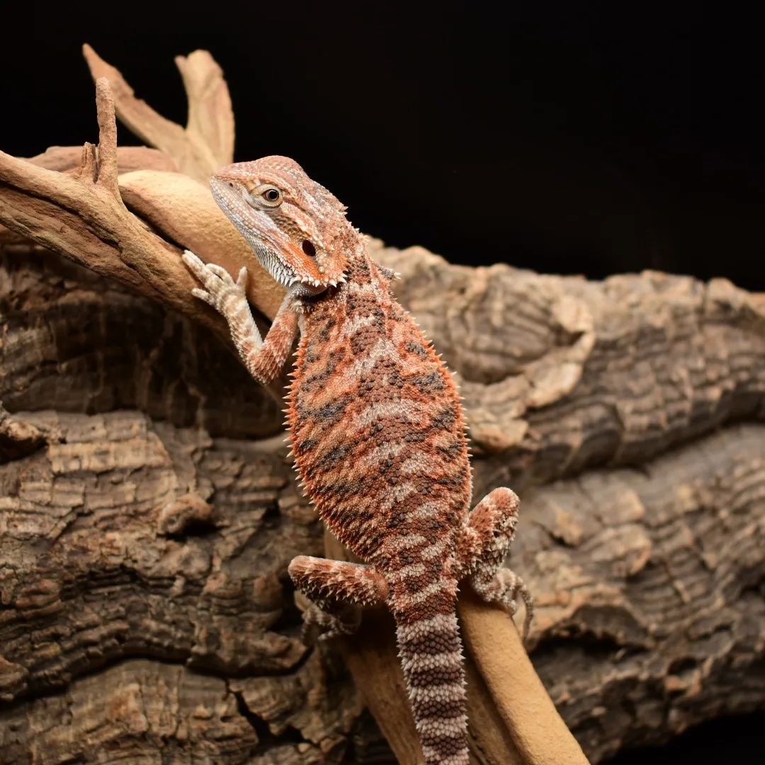 WhatsApp Image 2023-09-09 at 9.48.01 PM