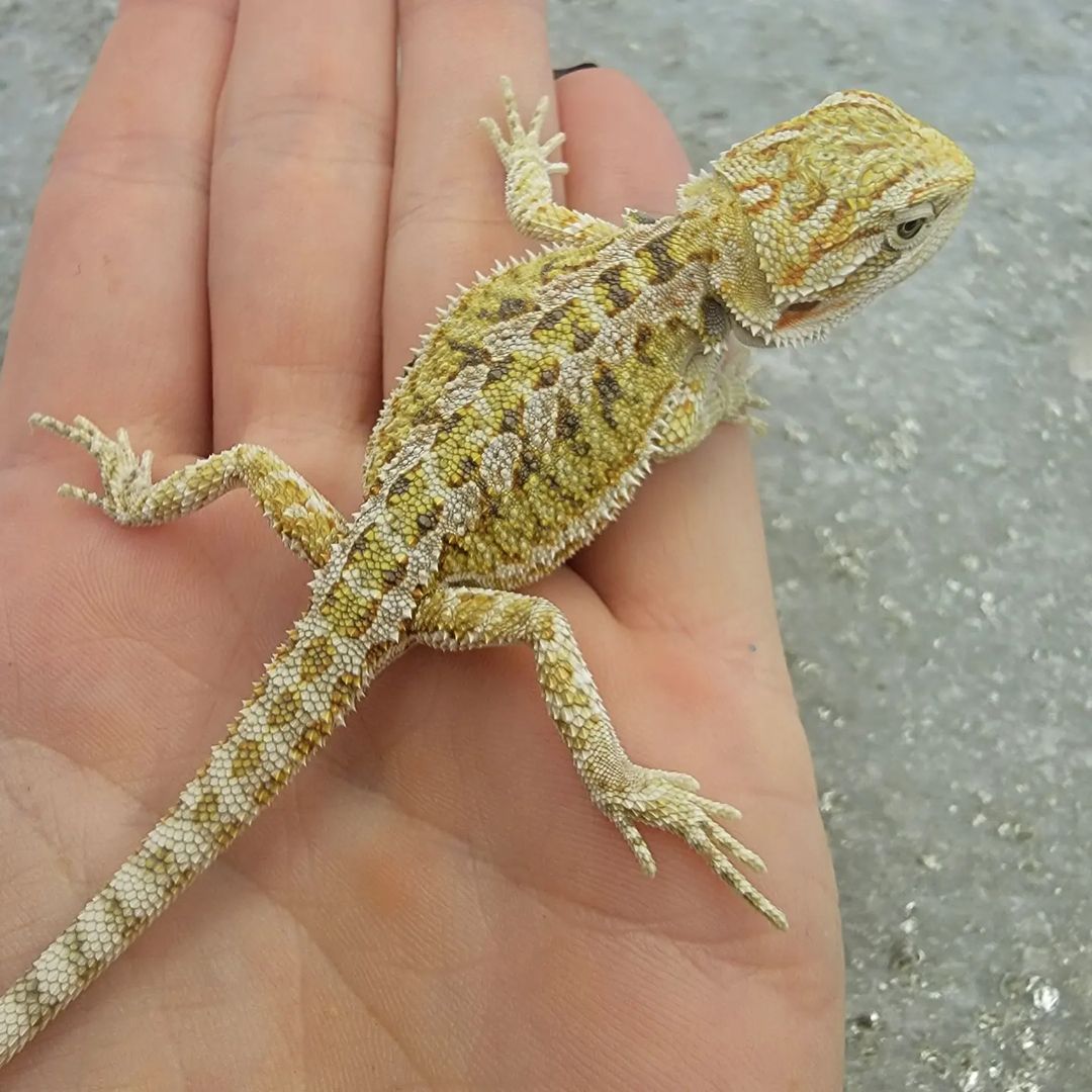 WhatsApp Image 2023-09-09 at 9.49.05 PM