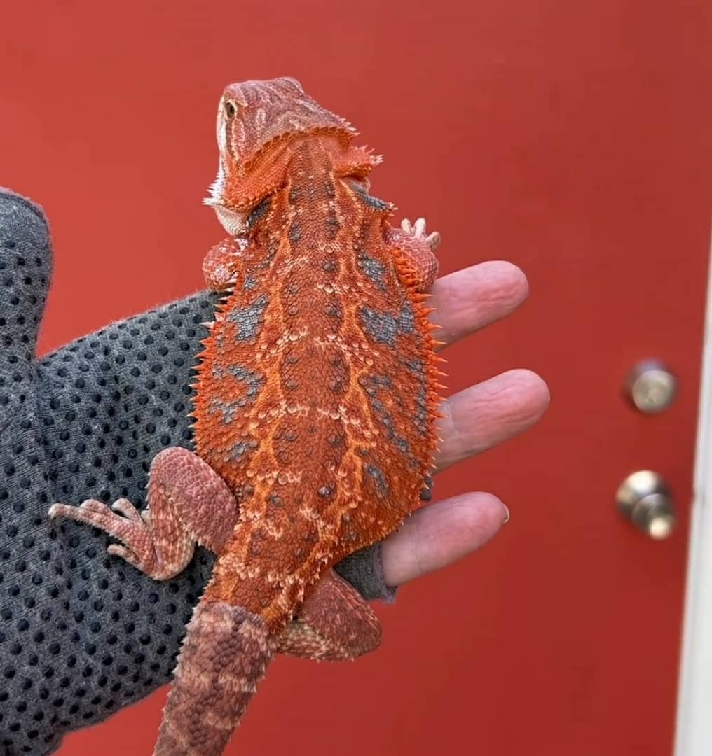 WhatsApp Image 2023-09-09 at 9.55.10 PM