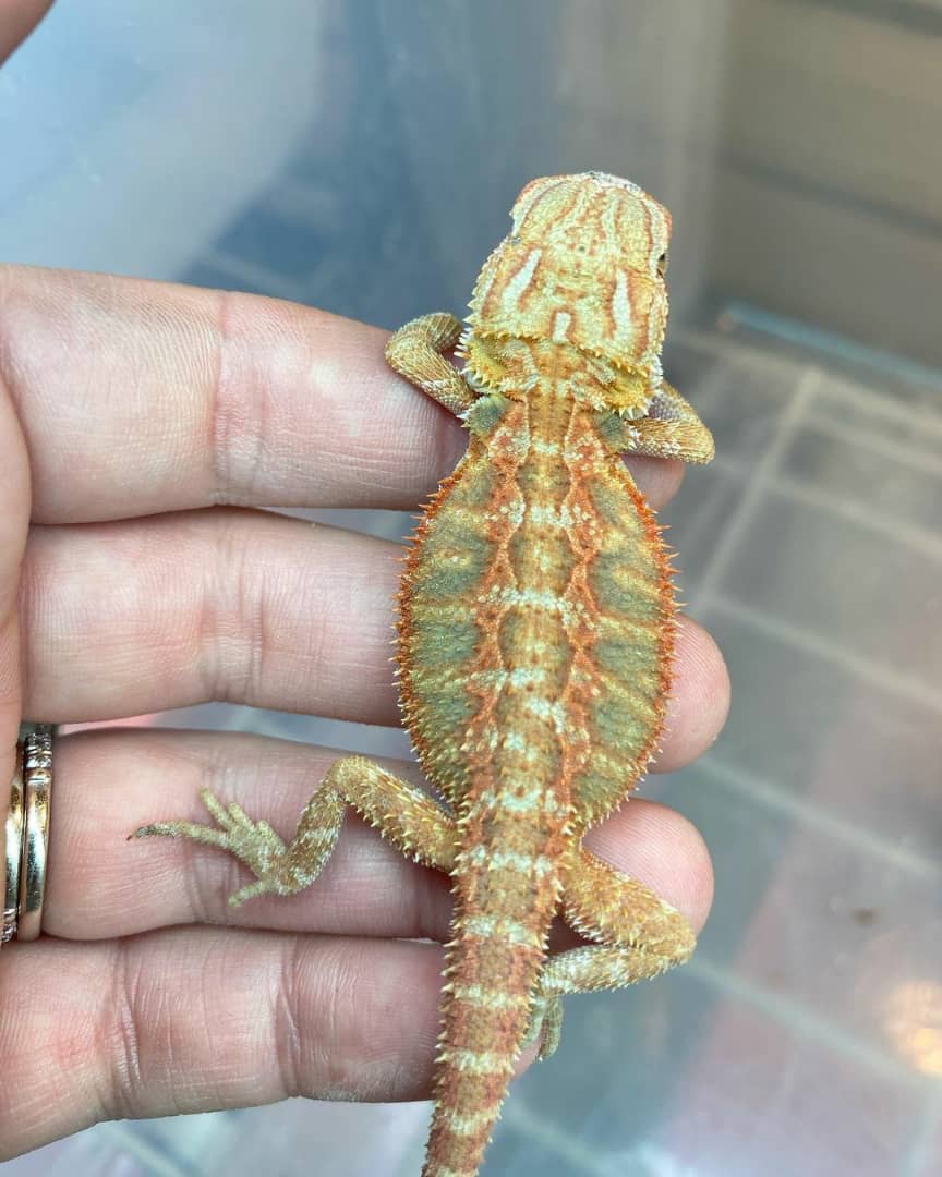 WhatsApp Image 2023-09-09 at 9.55.40 PM