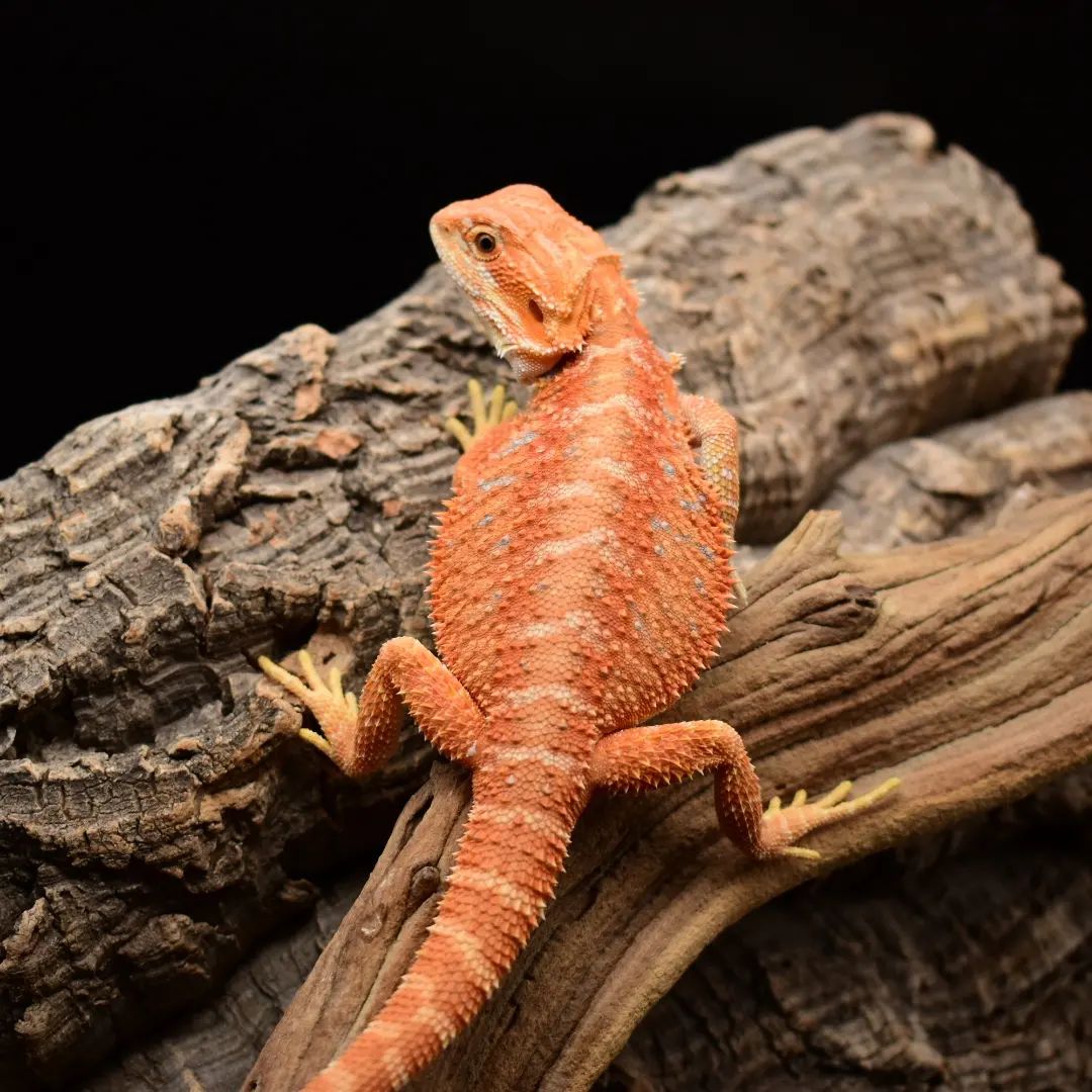 WhatsApp Image 2023-09-09 at 9.55.43 PM