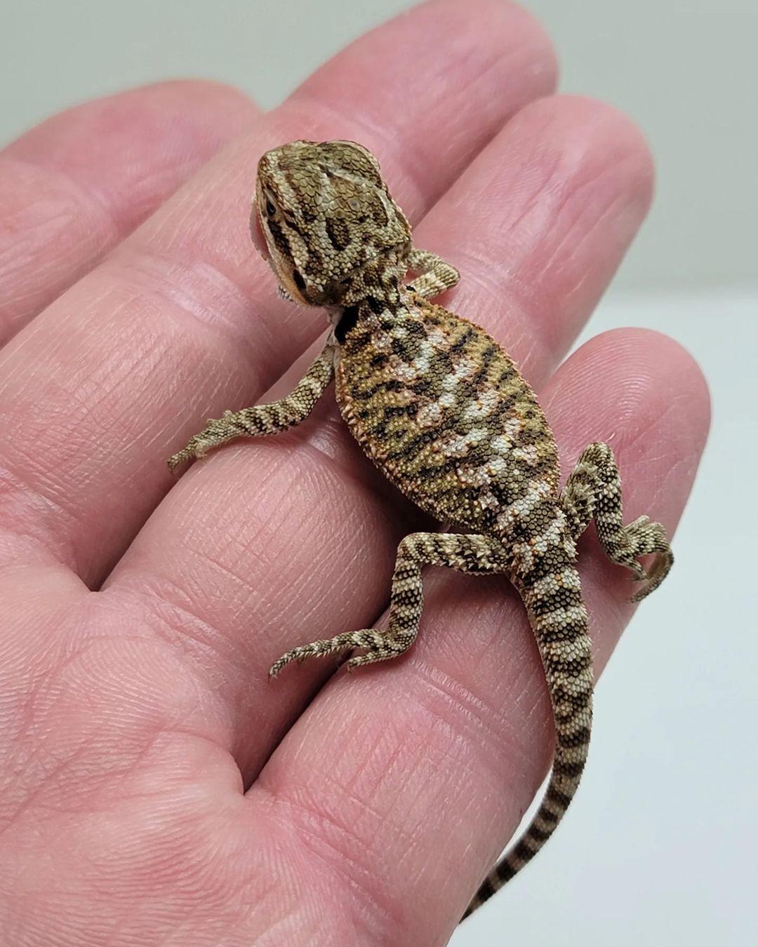 WhatsApp Image 2023-09-09 at 9.55.44 PM