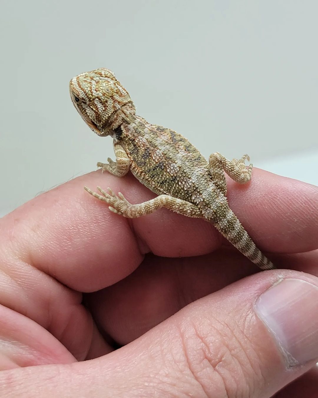 WhatsApp Image 2023-09-09 at 9.55.51 PM