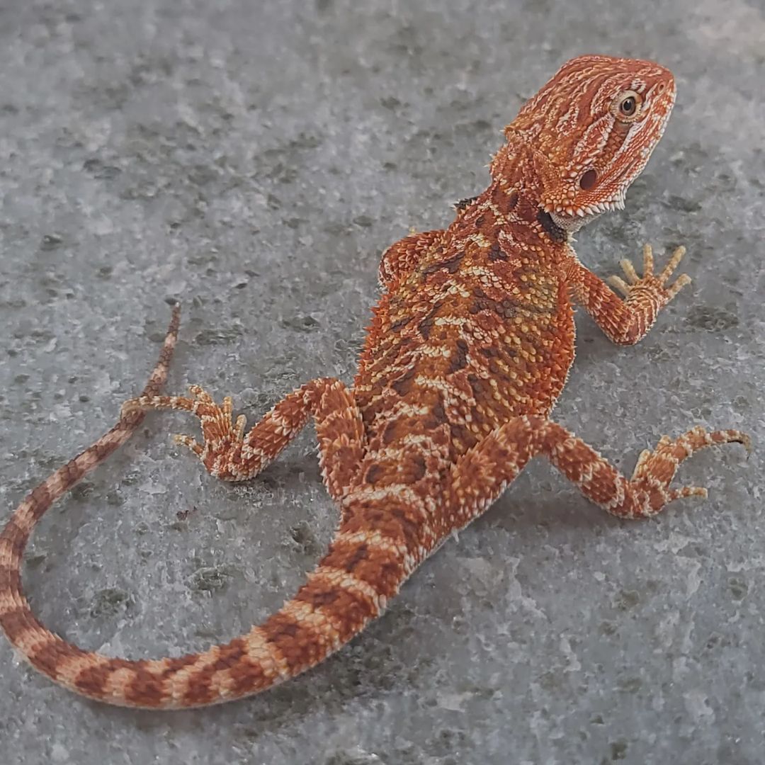 WhatsApp Image 2023-09-09 at 9.55.54 PM