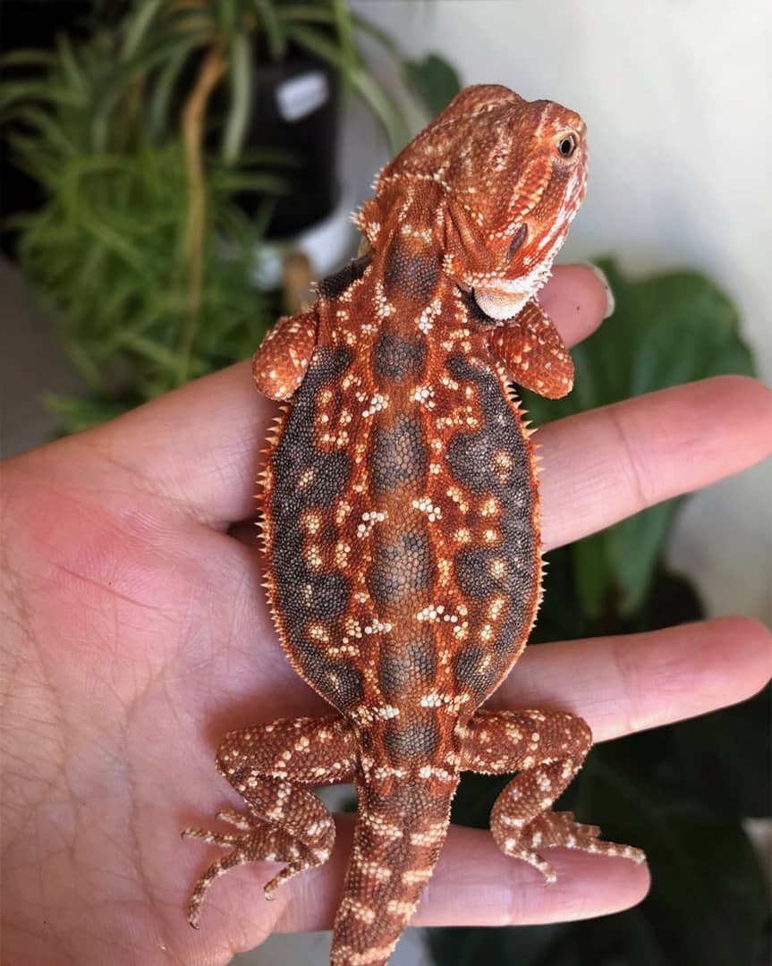 WhatsApp Image 2023-09-09 at 9.56.07 PM