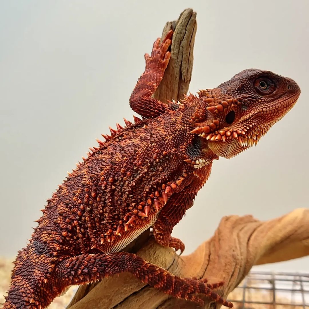 WhatsApp Image 2023-09-09 at 9.57.47 PM