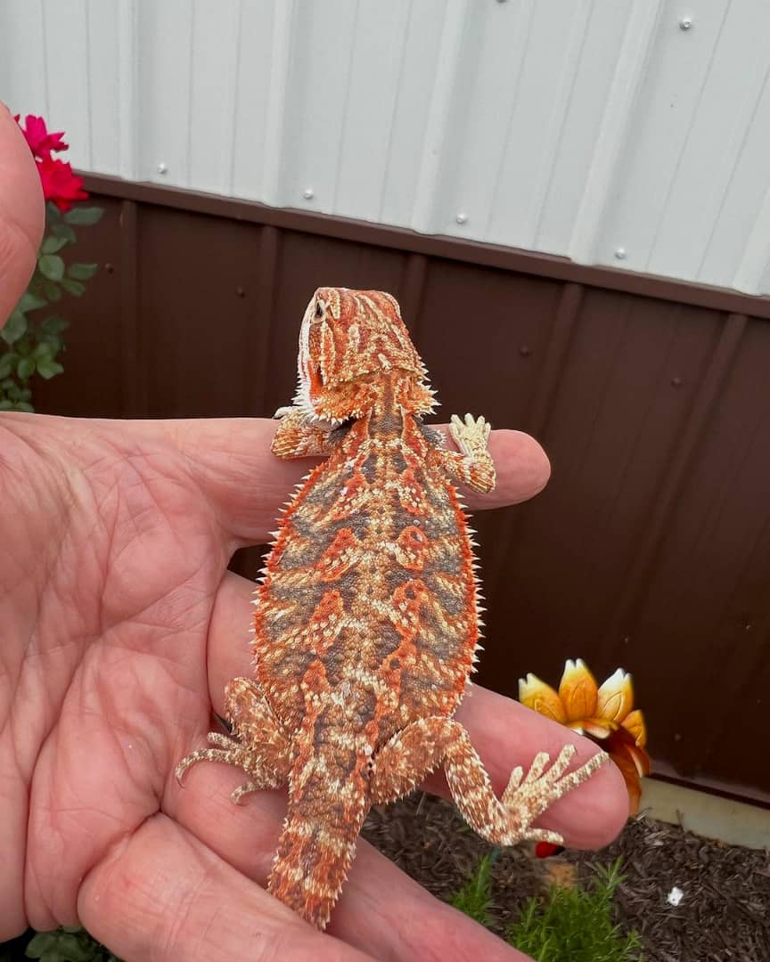 WhatsApp Image 2023-09-10 at 2.08.16 PM