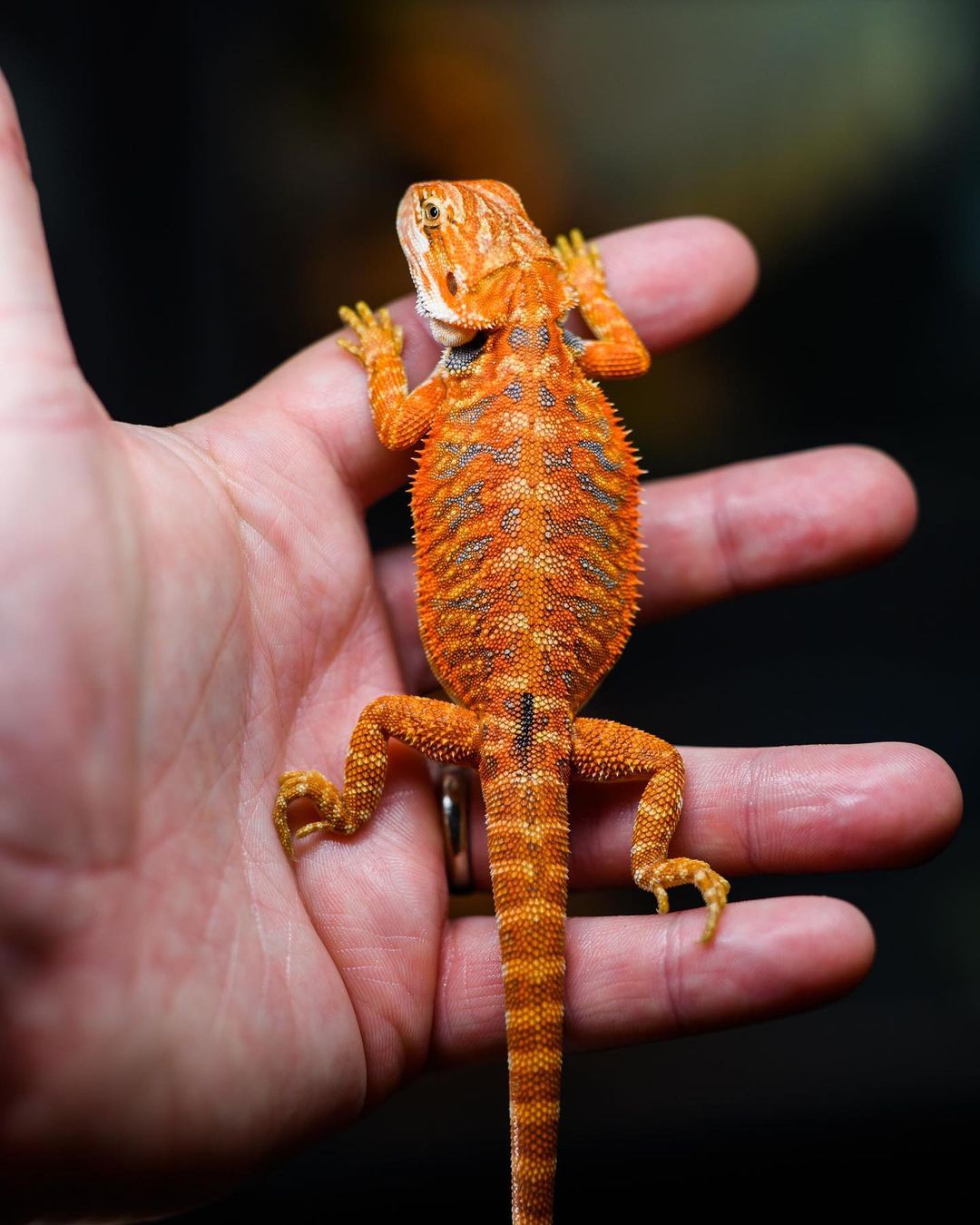 WhatsApp Image 2023-09-10 at 4.09.57 PM