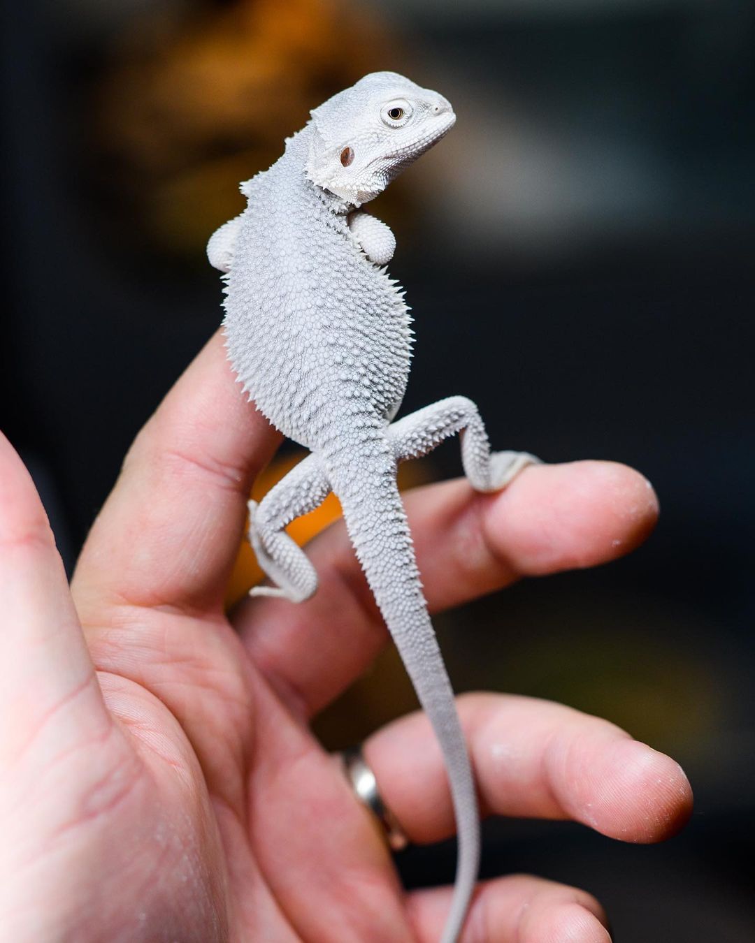 WhatsApp Image 2023-09-10 at 4.09.58 PM