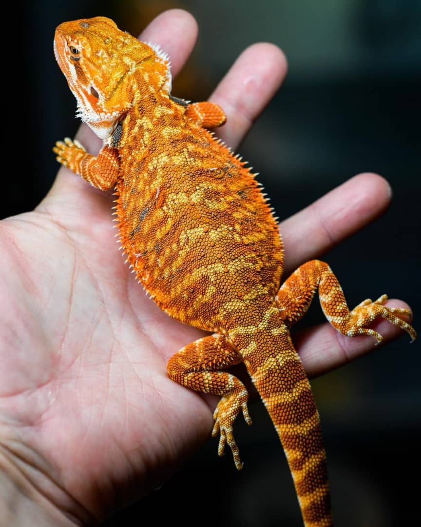 WhatsApp Image 2023-09-10 at 4.10.00 PM