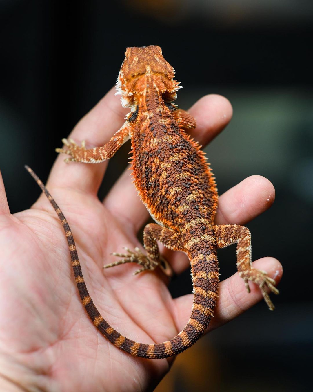 WhatsApp Image 2023-09-10 at 4.10.02 PM