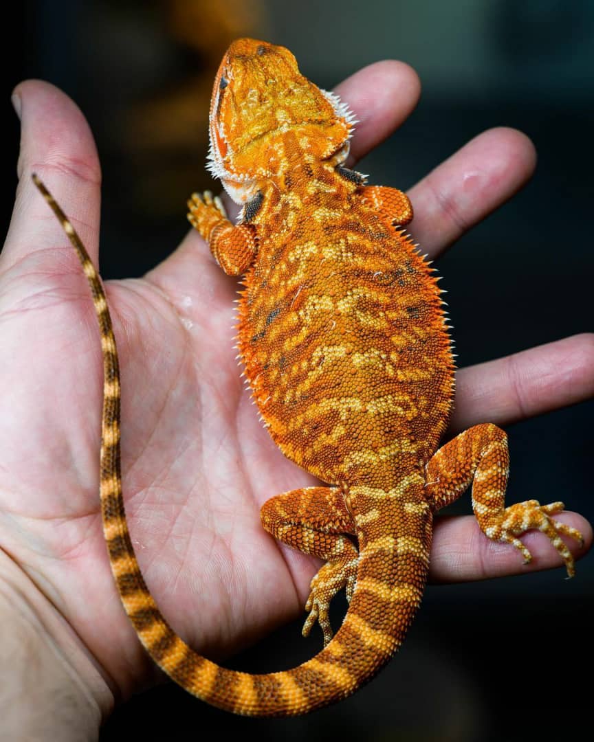 WhatsApp Image 2023-09-10 at 4.10.03 PM