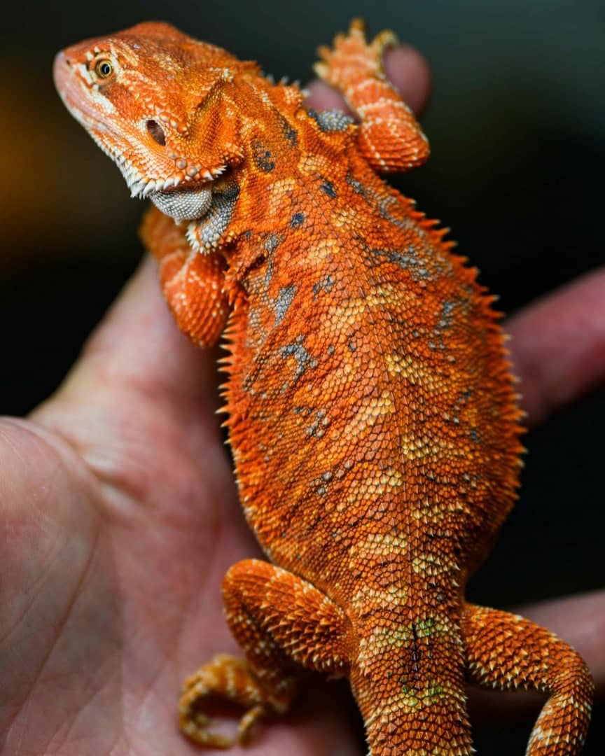 WhatsApp Image 2023-09-10 at 4.10.07 PM