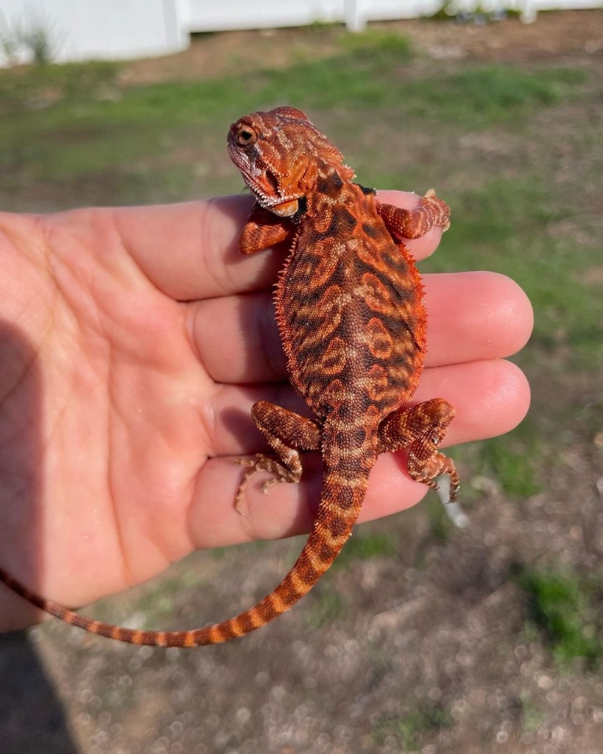 WhatsApp Image 2023-09-11 at 1.26.29 AM