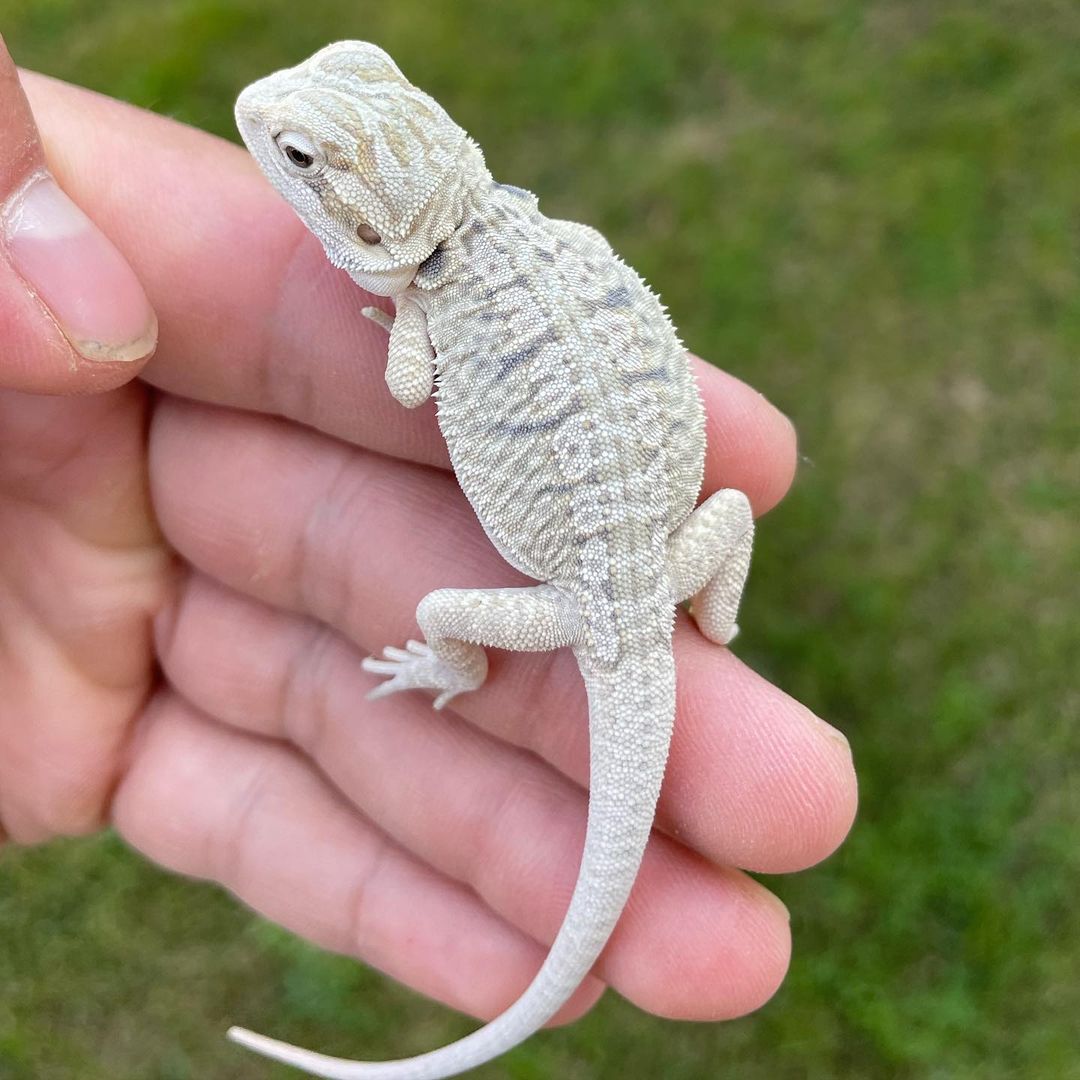 WhatsApp Image 2023-09-11 at 1.29.54 AM